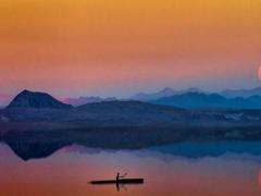 2024年屬狗安門最好的日子查詢