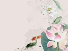 2024年屬豬訂婚最好選哪天