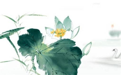 1952年屬龍的是什么命女,1952年的龍是什么命運 1952年屬龍的是什么命女,1952年的龍是什么命運