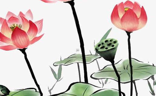 有意義雙胞胎名字男孩什么名字推薦 雙胞胎男孩名字 有意義雙胞胎名字男孩什么名字推薦 雙胞胎男孩名字