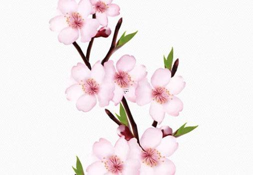 易經(jīng)六十三卦問事業(yè) 解卦六三爻事業(yè) 易經(jīng)六十三卦問事業(yè) 解卦六三爻事業(yè)