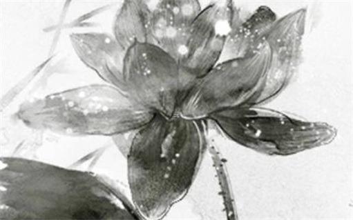 屬兔與本命年好不好相處,屬兔的本命年好嗎 屬兔與本命年好不好相處,屬兔的本命年好嗎