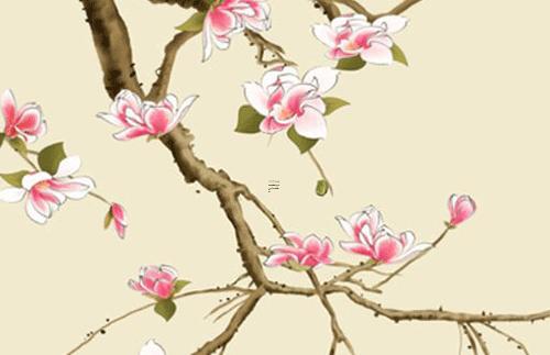 本命年的兔能結婚嗎屬相是什么,本命年兔可以結婚嗎 本命年的兔能結婚嗎屬相是什么,本命年兔可以結婚嗎