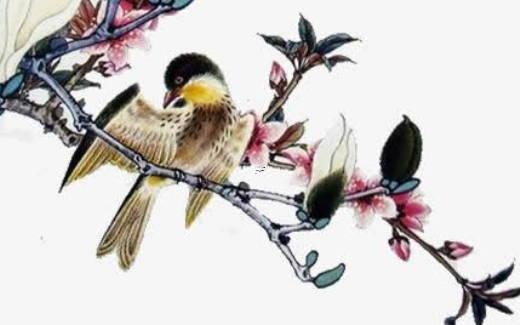 桃花到底是什么 桃花指的是 桃花到底是什么 桃花指的是