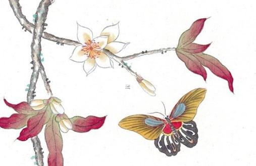 屬兔女孩本命年能結婚不,女兔本命年應該戴什么 屬兔女孩本命年能結婚不,女兔本命年應該戴什么