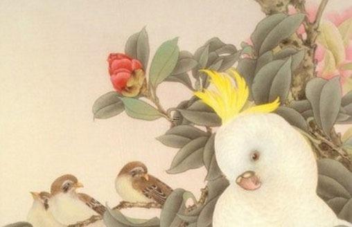 屬虎人一生的財運 屬虎之人財運 屬虎人一生的財運 屬虎之人財運