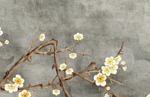 屬兔的21年買什么顏色的車好呢,屬兔的21年買什么顏色的車好呢 屬兔的21年買什么顏色的車好呢,屬兔的21年買什么顏色的車好呢