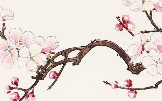 八字無印看母親壽命 八字無印母親長壽 八字無印看母親壽命 八字無印母親長壽