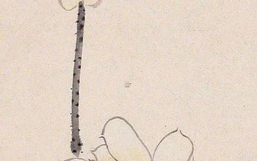 1988年屬龍女的命運婚姻 1988年屬龍女的一生有幾次婚姻 1988年屬龍女的命運婚姻 1988年屬龍女的一生有幾次婚姻