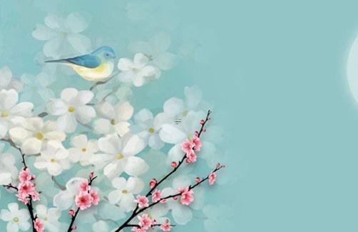 本命年兔可以過生日嗎學生,本命年的兔 本命年兔可以過生日嗎學生,本命年的兔