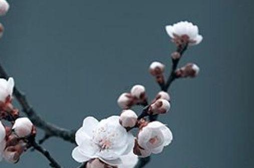 戊辰日柱走癸亥大運(yùn),戊辰日柱癸丑大運(yùn) 戊辰日柱走癸亥大運(yùn),戊辰日柱癸丑大運(yùn)