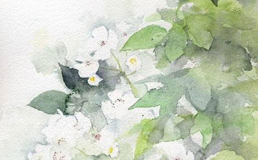 張作霖名字寓意 張作霖字什么 張作霖名字寓意 張作霖字什么