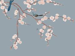 74年的屬虎的今年運(yùn)勢(shì)怎么樣 74年屬虎的人今年的運(yùn)氣