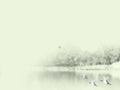 兔本命年啥時(shí)候穿紅色,屬兔本命年穿什么顏色