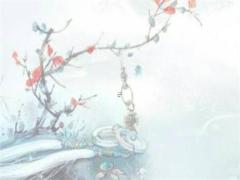 老鼠和什么生肖最不和 老鼠和什么生肖不合?