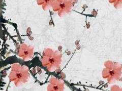 兔的本命年適合戴什么手串好,兔本命年戴什么轉(zhuǎn)運(yùn)