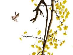 劉德華二零二一年演唱會(huì),劉德華2oo2演唱會(huì)