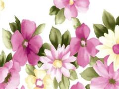 屬馬的什么顏色可以帶來(lái)好運(yùn),屬馬的什么顏色可以帶來(lái)好運(yùn)呢