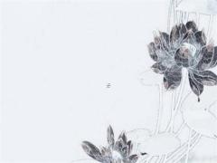 桃花運(yùn)太多是什么因果 桃花運(yùn)多的人命好不好