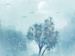 屬猴人的命運(yùn)與婚姻 屬猴人的命運(yùn)好不好