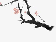 詩經(jīng)中最唯美的名字 趙姓詩經(jīng)中最唯美的名字