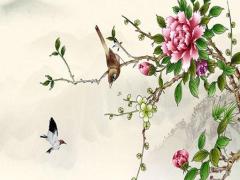 陰歷冬月14日運(yùn)勢(shì) 農(nóng)歷冬月十四日吉時(shí)