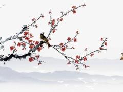 這三大生肖的生日趴創意十足 適合生日趴的互動小游戲