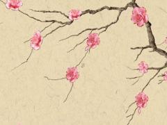 87年屬兔36歲以后的一生命運(yùn),1987兔命里有幾個孩子