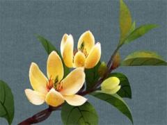 白羊男今日的運勢 白羊男今日運勢?