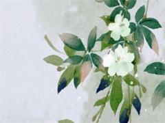 屬龍的是哪年生人 屬龍的人是哪年出生的?