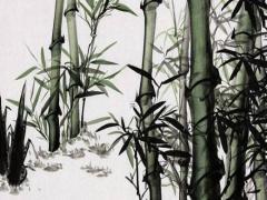 屬虎的適合什么玄關(guān)畫 屬虎的人進(jìn)門玄關(guān)擺什么招財(cái)