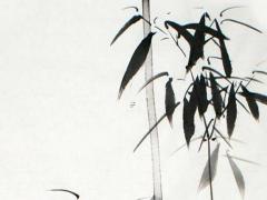 屬兔農(nóng)歷9月運(yùn)勢(shì) 屬兔農(nóng)歷9月出生命運(yùn)如何