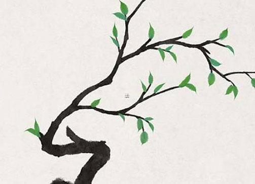 屬兔本命年能戴南紅嗎,屬兔為什么不能帶南紅 屬兔本命年能戴南紅嗎,屬兔為什么不能帶南紅