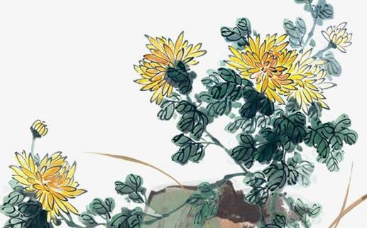 屬猴人在2025年1月搬家需知 搬家對運勢的影響 屬猴人在2025年1月搬家需知 搬家對運勢的影響