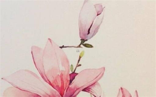 明年生肖兔本命年戴什么好,明年是屬兔的本命年嗎 明年生肖兔本命年戴什么好,明年是屬兔的本命年嗎