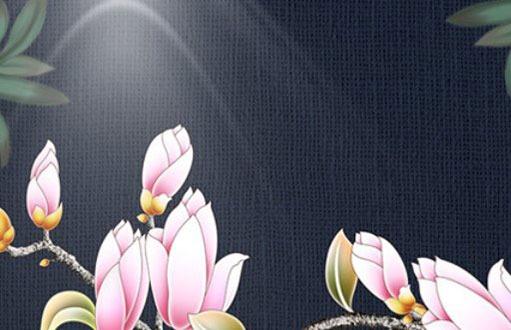 自己家養烏龜是好不好或是壞處 自己養烏龜需要注意些什么 自己家養烏龜是好不好或是壞處 自己養烏龜需要注意些什么