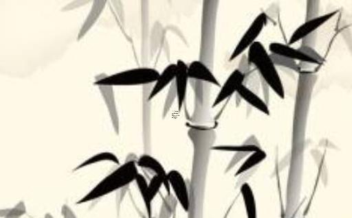 想生個虎寶寶要幾月份懷孕 生個虎寶寶什么時候備孕幾月生虎寶寶好 想生個虎寶寶要幾月份懷孕 生個虎寶寶什么時候備孕幾月生虎寶寶好