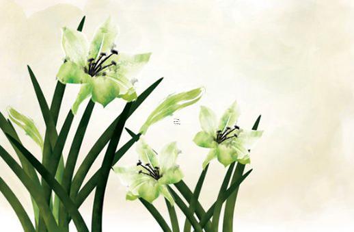 喬遷新居的傳統習俗 2025年搬家要注意什么 喬遷新居的傳統習俗 2025年搬家要注意什么