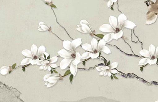 2025年1月生肖健康運勢分析 生肖與治病的最佳時機 2025年1月生肖健康運勢分析 生肖與治病的最佳時機