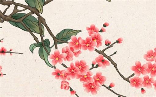 十大客廳風(fēng)水植物 十大客廳風(fēng)水植物鴻運(yùn)當(dāng)頭