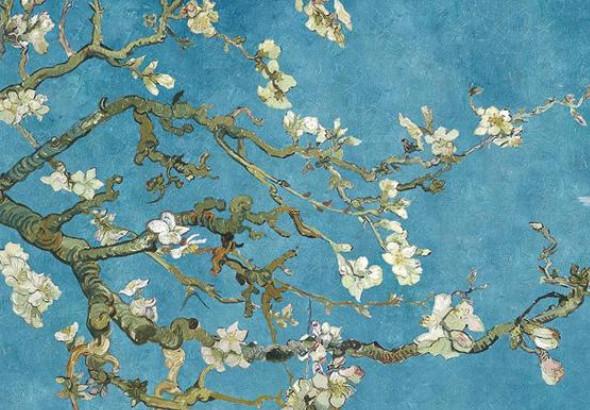 2025年正月搬家后注意事項 搬家后需要注意什么 2025年正月搬家后注意事項 搬家后需要注意什么