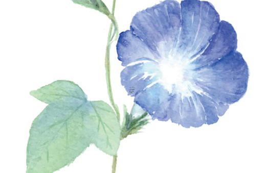 2025年1月安大門黃道吉日解析 安大門黃道吉日的注意事項 2025年1月安大門黃道吉日解析 安大門黃道吉日的注意事項