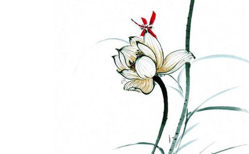 金牛座屬狗人的愛情運勢 金牛座屬狗女生2020下半年運勢 金牛座屬狗人的愛情運勢 金牛座屬狗女生2020下半年運勢