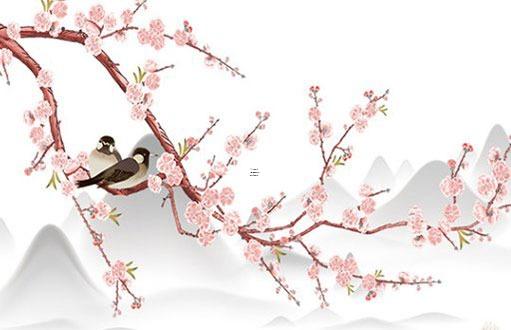 屬虎的今年會不會死 屬虎的人是不是今年不順利呀 屬虎的今年會不會死 屬虎的人是不是今年不順利呀