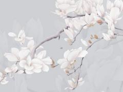 處女座運(yùn)勢(shì)最近 處女座運(yùn)勢(shì) 2021