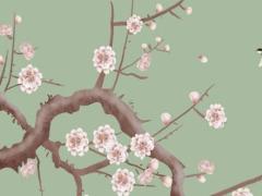 2025年1月敬車吉日盤點(diǎn) 如何判斷吉日的好壞