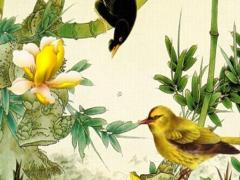 這三大生肖睡眠淺容易被驚醒 什么生肖會(huì)失眠