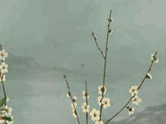 2025年1月結(jié)婚的好日子有哪些 選擇結(jié)婚日期的注意事項(xiàng)