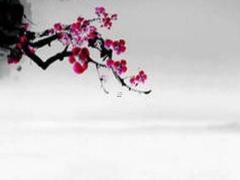 月黃道吉日查詢2025 農(nóng)歷乙巳蛇年運(yùn)勢分析