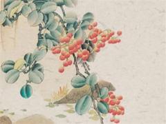 屬蛇十年大運(yùn)預(yù)測(cè) 屬蛇十年大運(yùn)預(yù)測(cè)吉兇